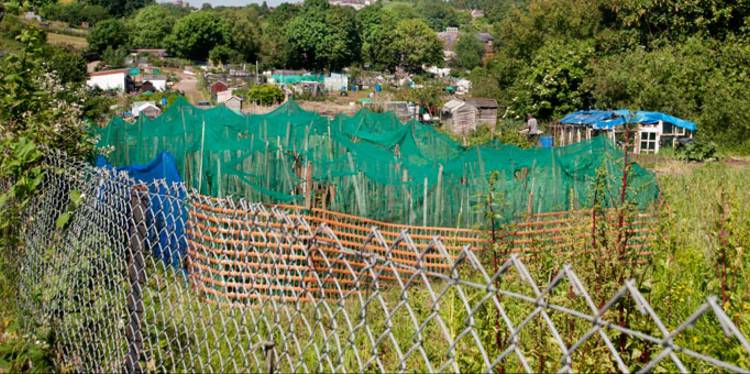 Qu'est-ce la taxe cabane de jardin (ouest france immo)
