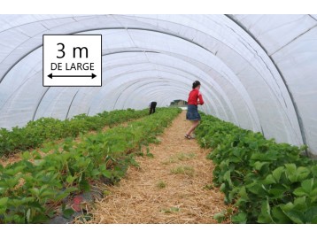 Plastique pour serre de jardin tunnel
