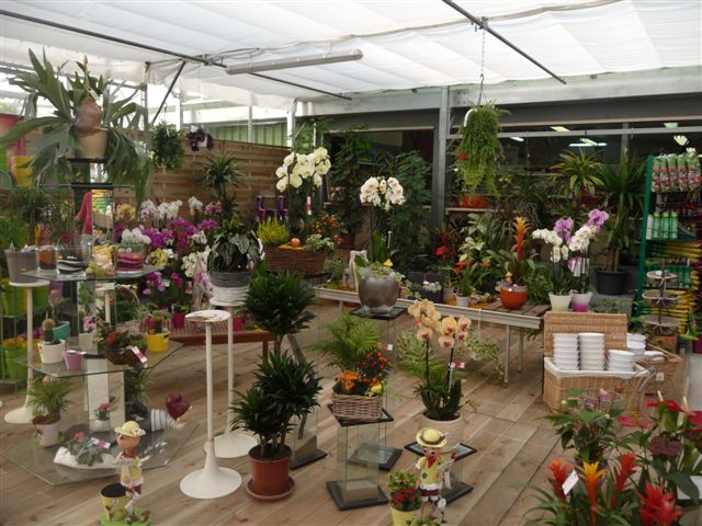 La serre jardinerie
