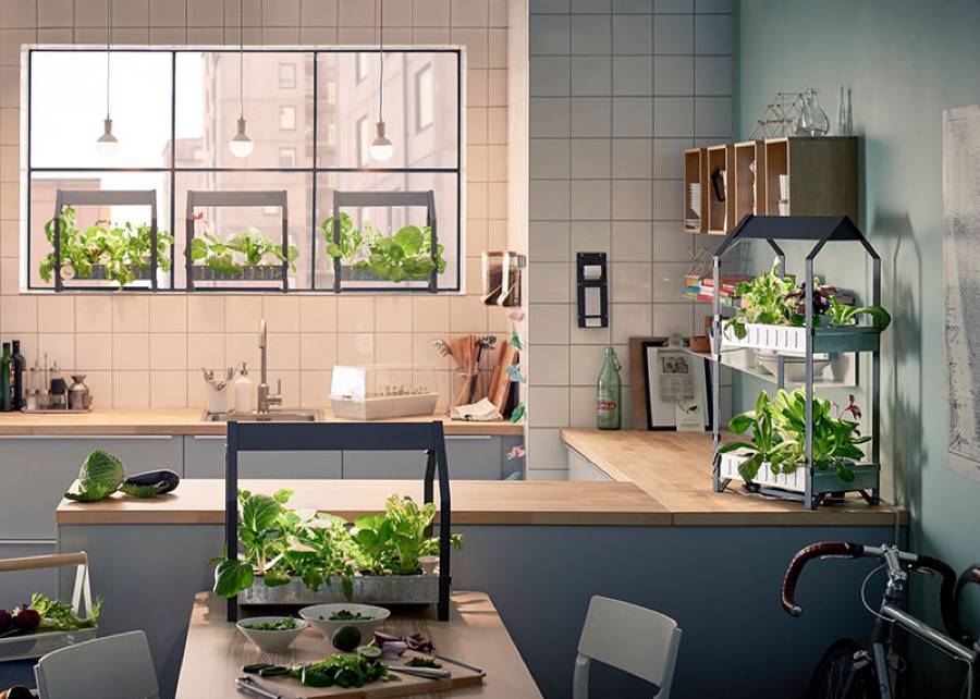 Serre de jardin keter
