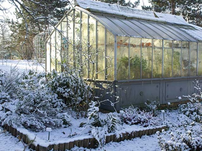 Serre de jardin pour l'hiver
