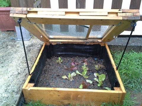 Petite serre potager
