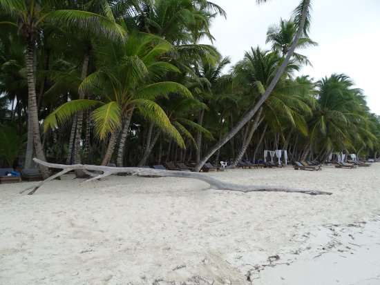 Balancoire republique dominicaine
