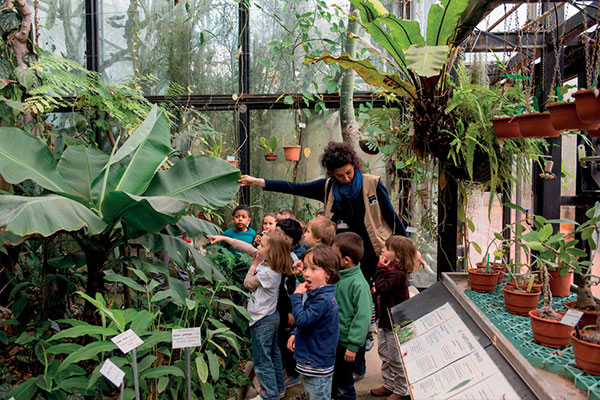 Serre de jardin a toulouse
