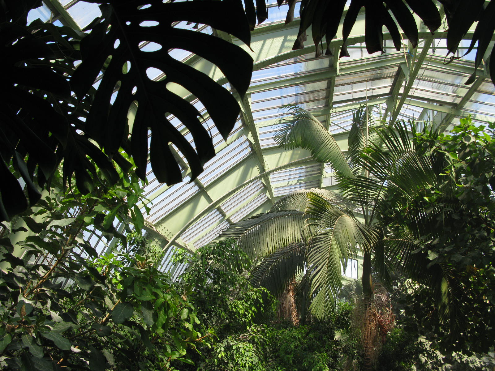Serres jardin plantes
