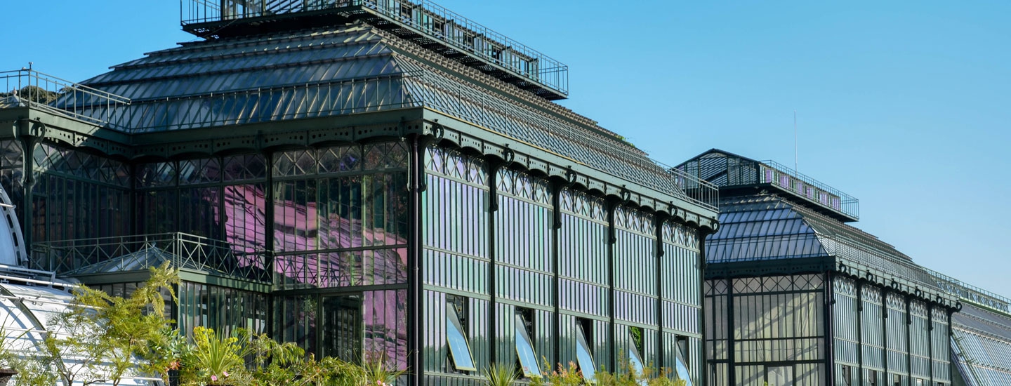 La serre jardin des plantes
