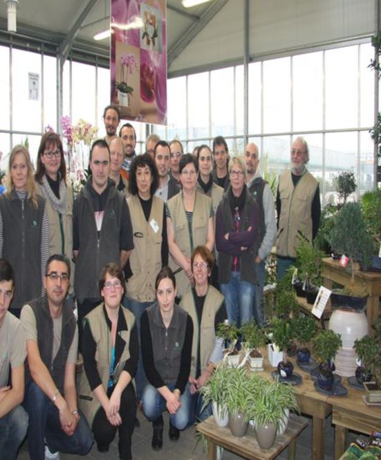Balancoire bois magasin vert
