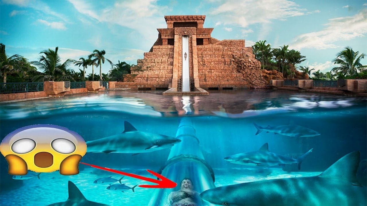 5 toboggans aquatique
