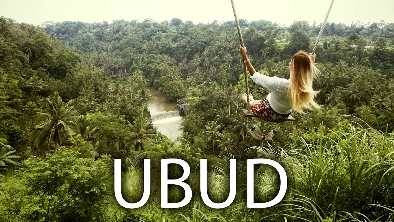 Balancoire jungle bali
