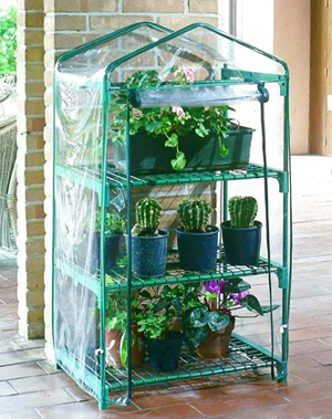 Petite serre de jardin jardiland
