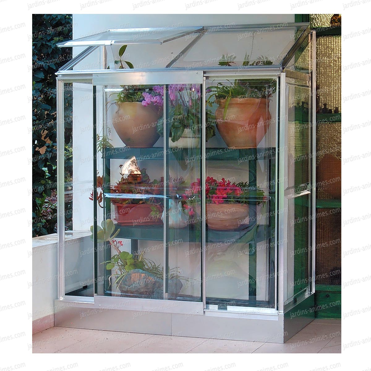 Serre de jardin petite taille

