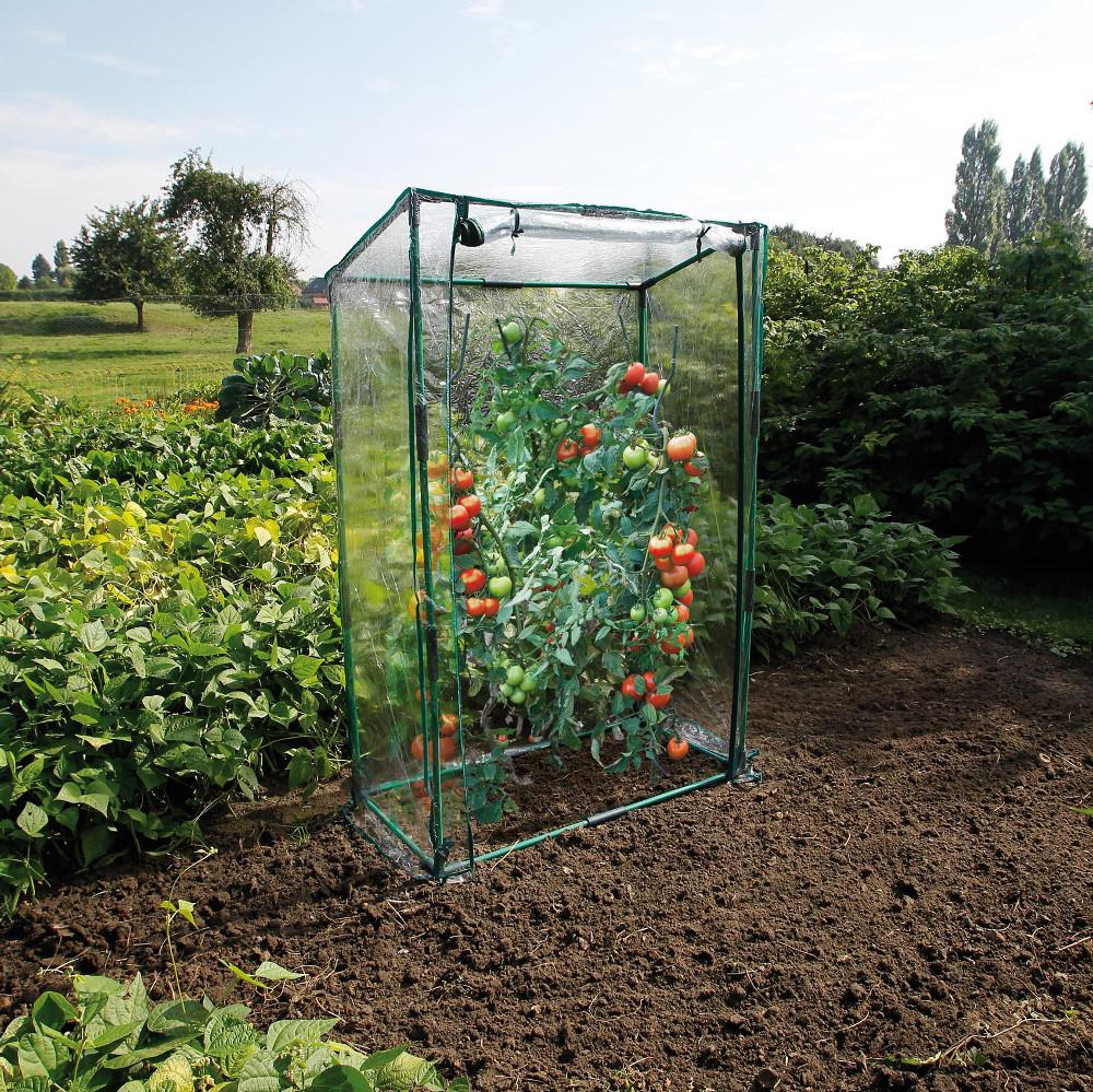 Mini serre de jardin pour tomate
