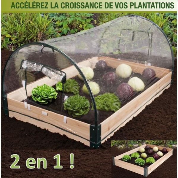 Petite serre pour potager

