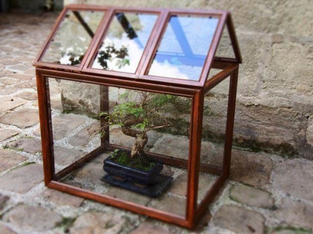 Serre miniature verre

