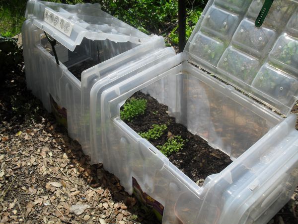 Tunnel pour jardin plastique
