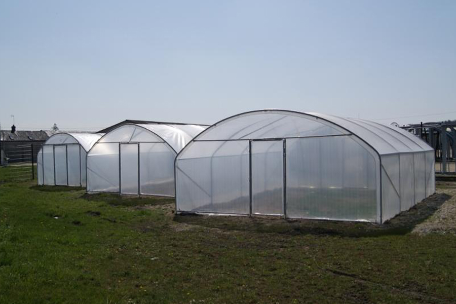 Grande serre de jardin tunnel
