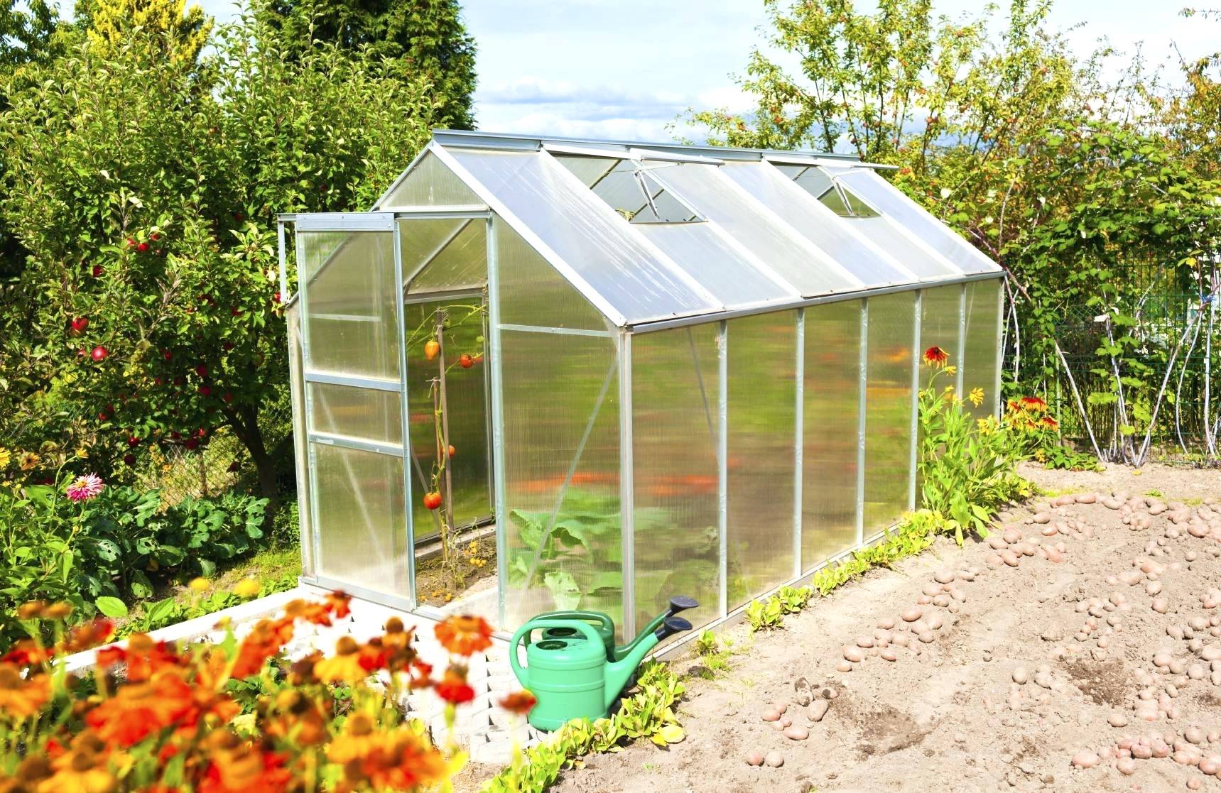 Serre en polycarbonate pas cher
