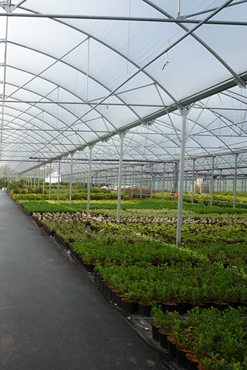 Prix des serres agricoles

