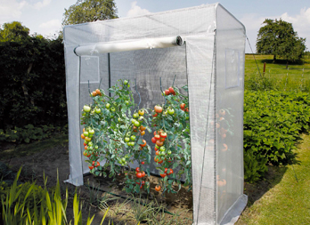Serre à tomates nortene
