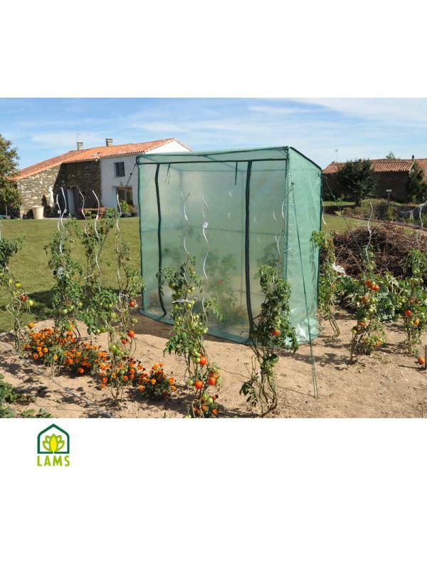 Serre tomates pas cher
