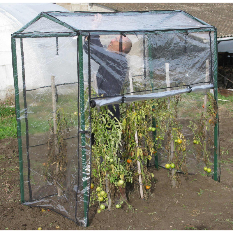 Serre à tomates
