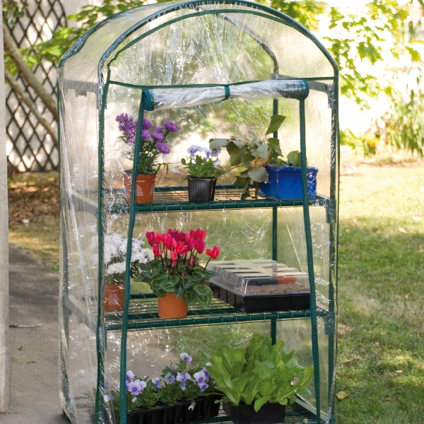 Serre de jardin jany
