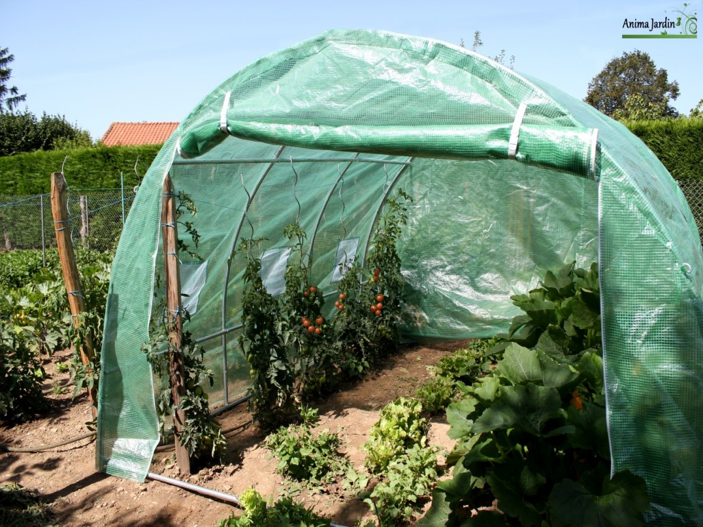 Serre de jardin dahlia 9m2
