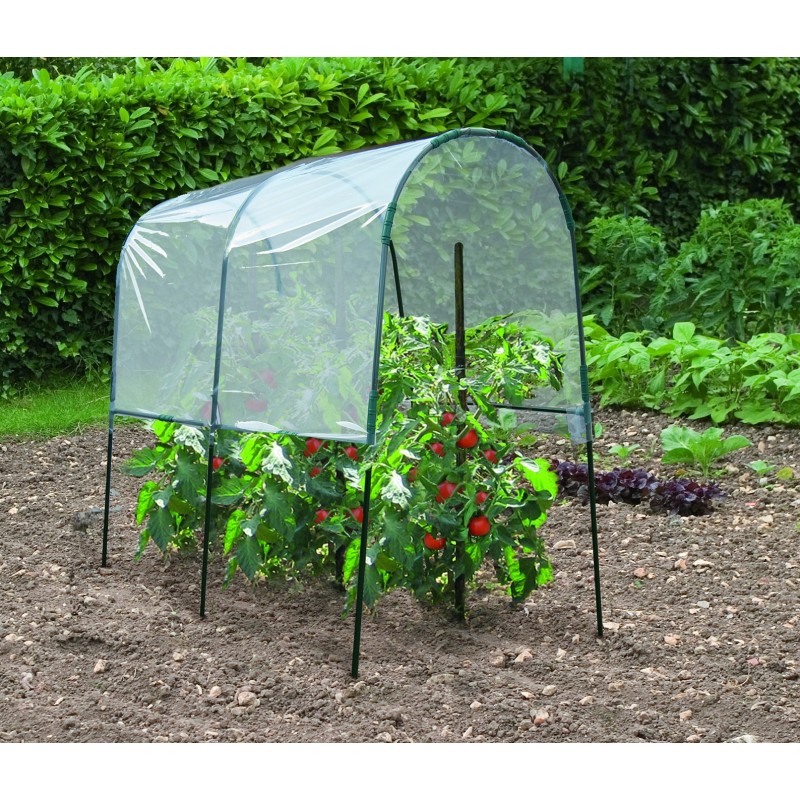 Petite serre de jardin pour tomate
