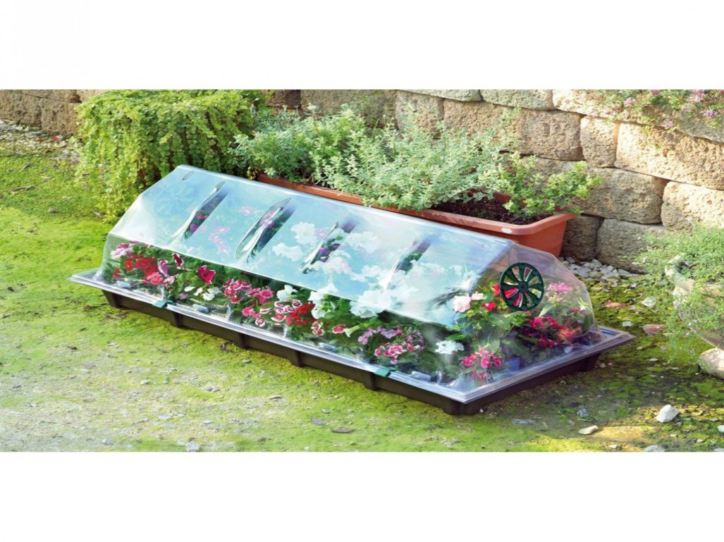 Serre de jardin en verre en promo
