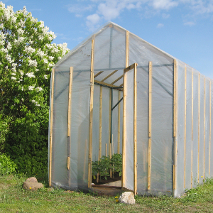 Utilisation d'une serre de jardin
