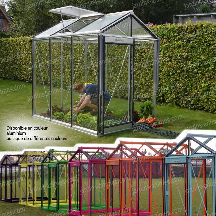 Petite serre de jardin
