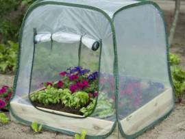 Serre pour potager pas cher
