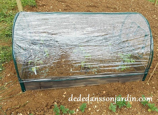Serre de potager pas cher
