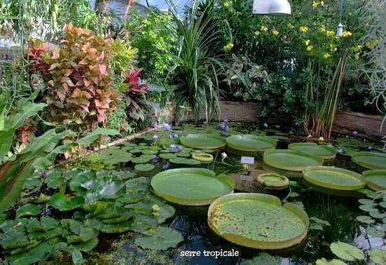 Serre de jardin rouen
