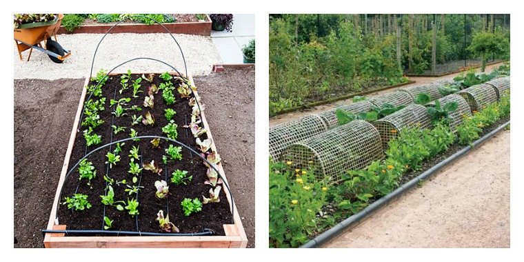 Petite serre tunnel de jardin
