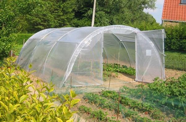 Serre tunnel potager
