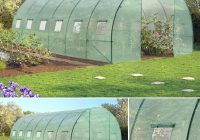 Serre de jardin quoi planter
