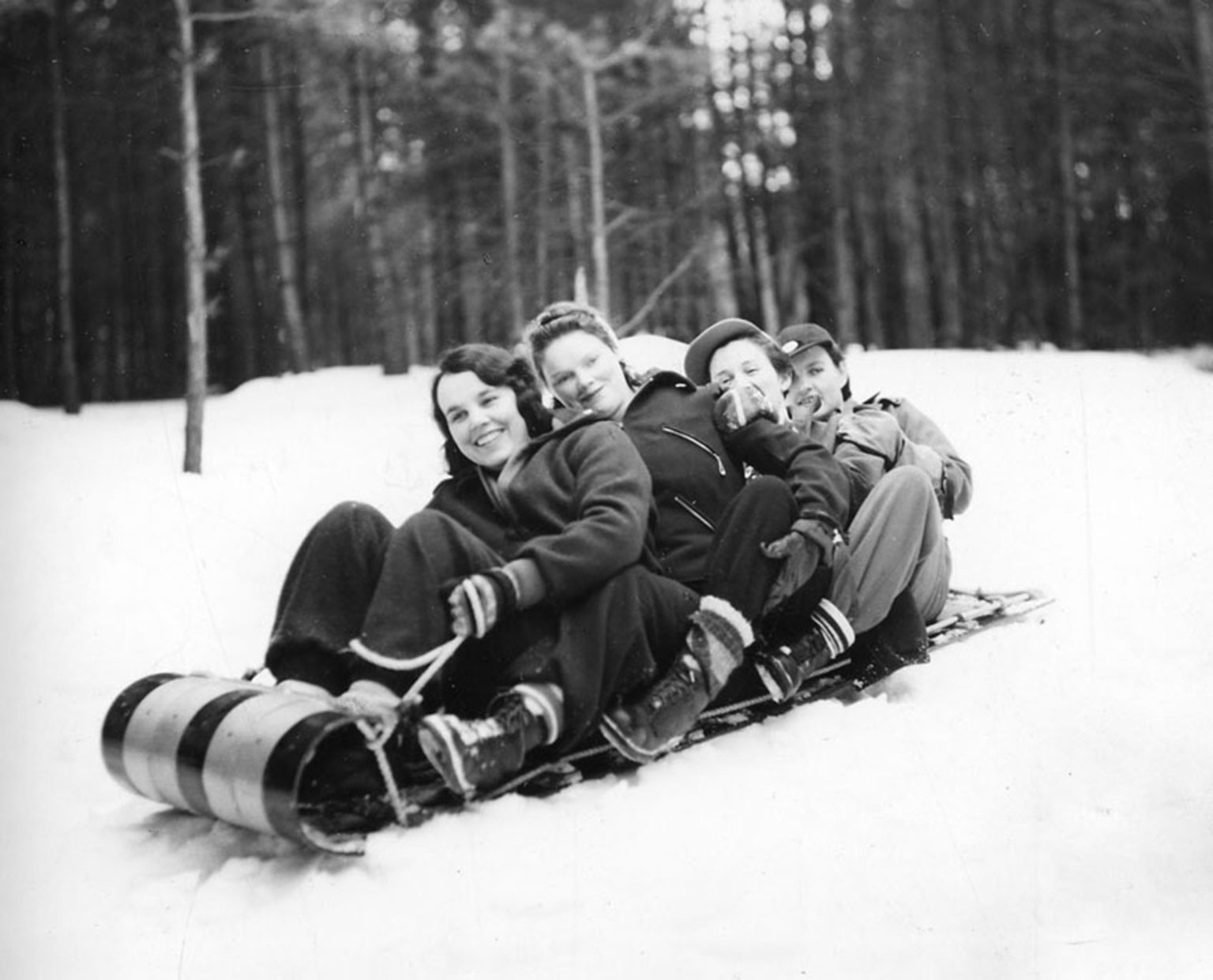 Toboggan 2015
