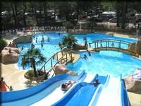 Piscine toboggan 84
