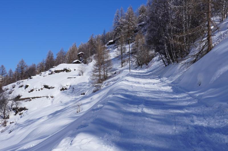 Toboggan zermatt
