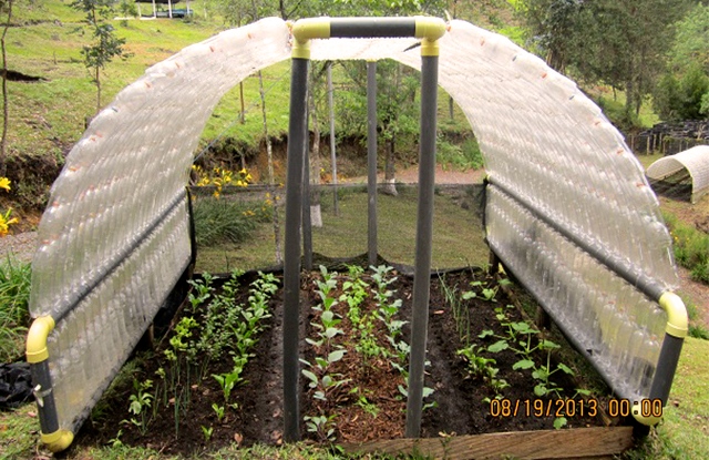 Serre de jardin bouteille plastique
