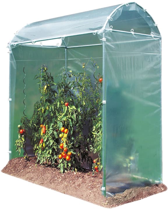 Serre de jardin windhager

