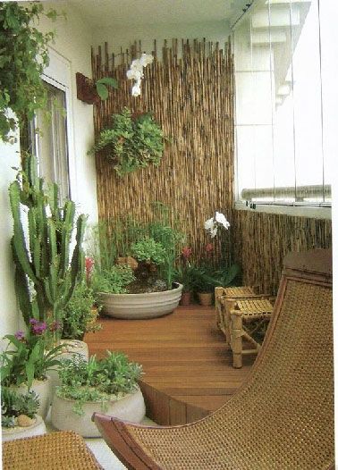 veranda petit jardin