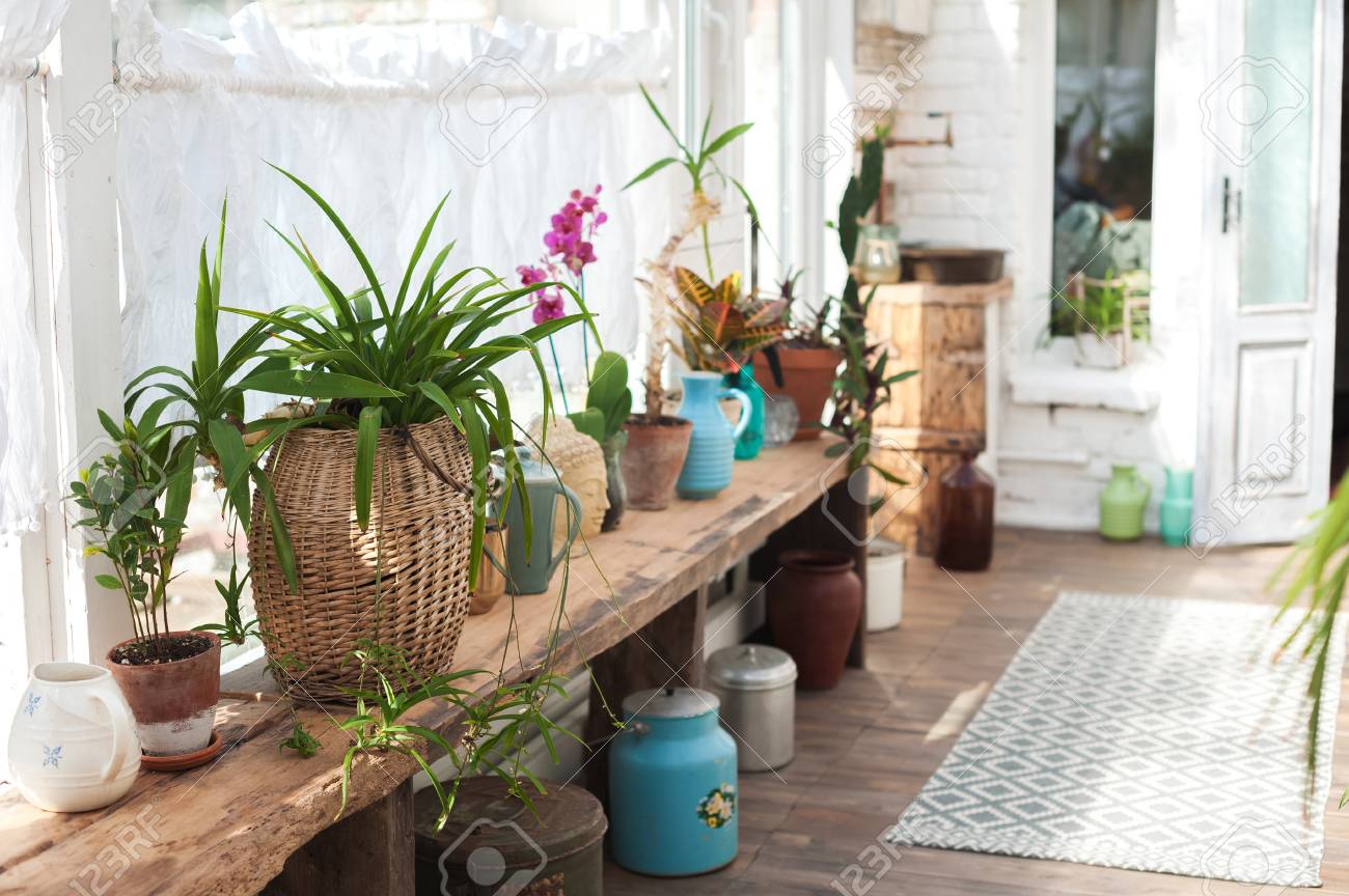 veranda gardening