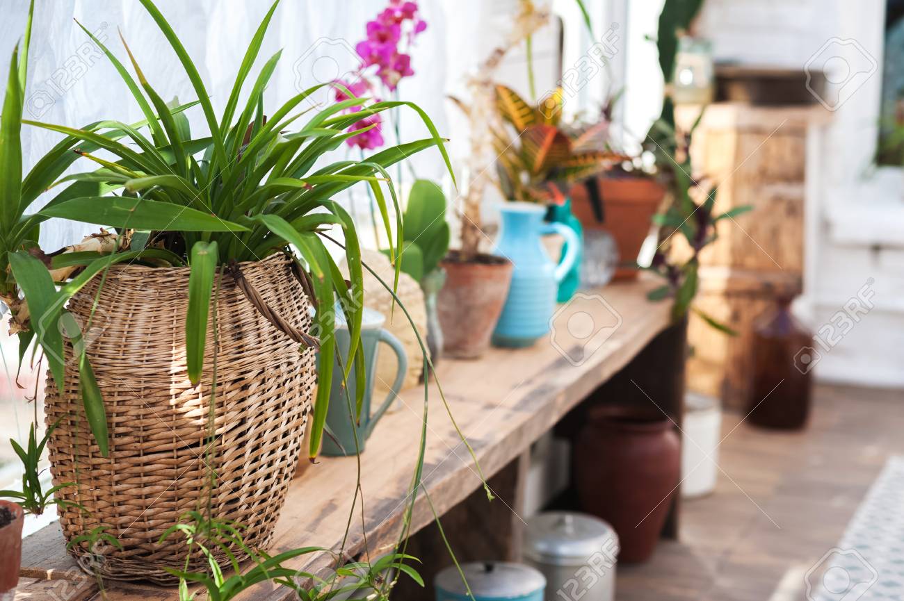 veranda gardening