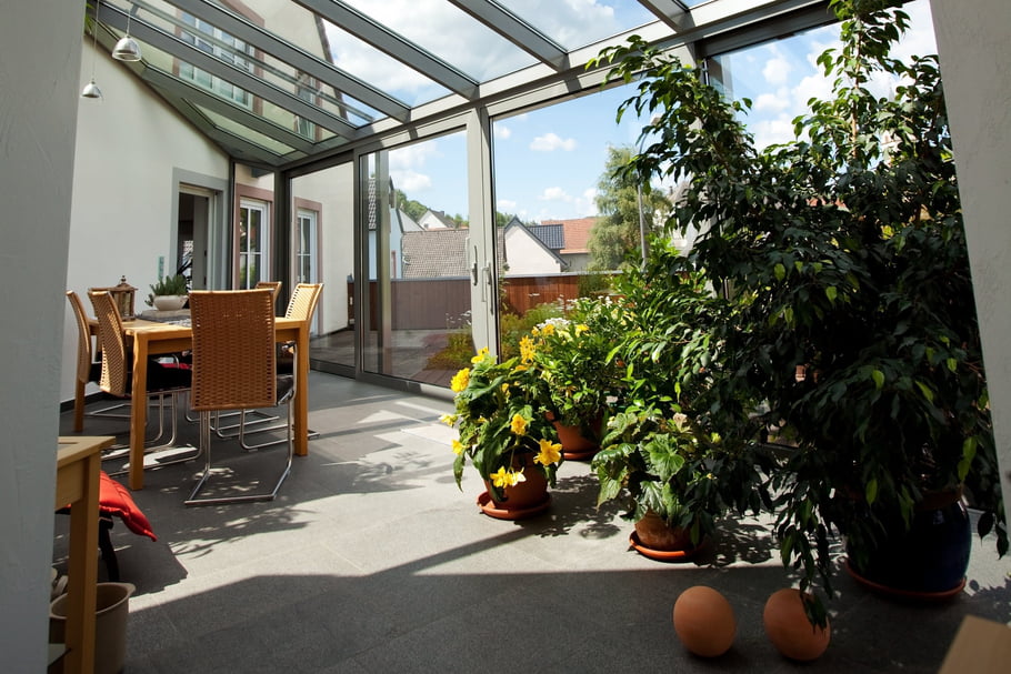 plantes de veranda non chauffee