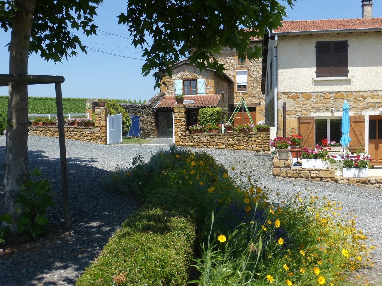 veranda store a fleurieux sur l'arbresle
