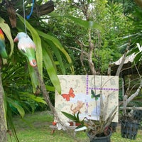 veranda yoga koh phangan