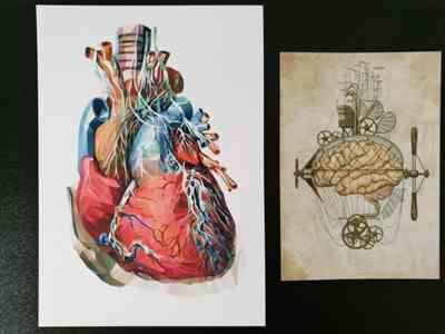 avis sur verand'art