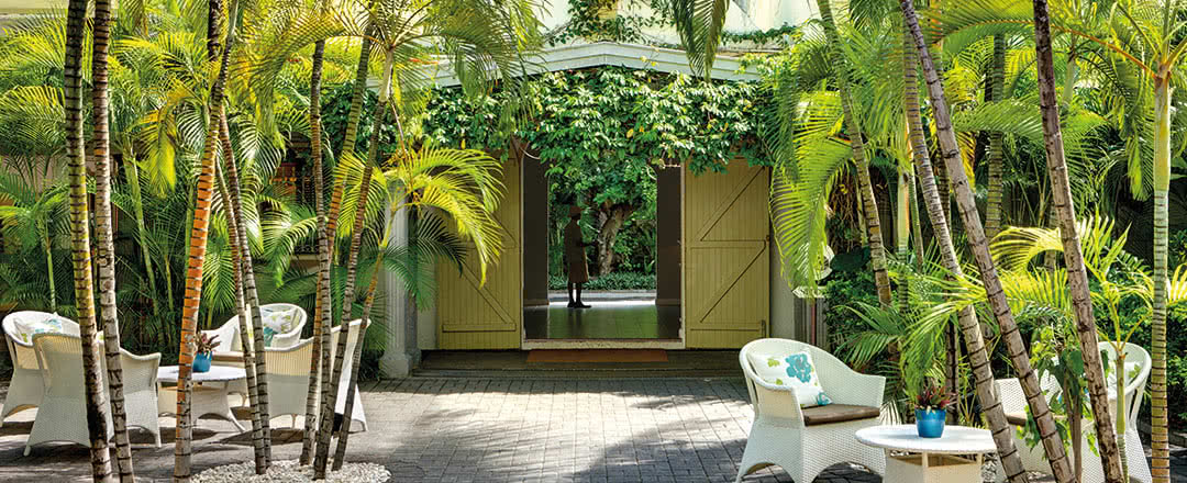 veranda grand baie exotismes